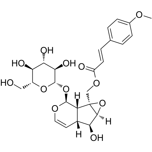 10-O-trans-p-methoxycinnamoyl-catalpol