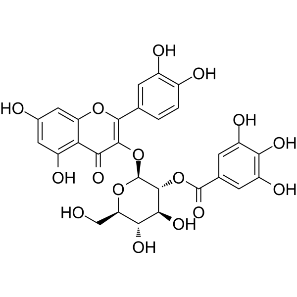 Quercetin-3-O-(2''-O-galloyl)-β-D-glucopyranoside
