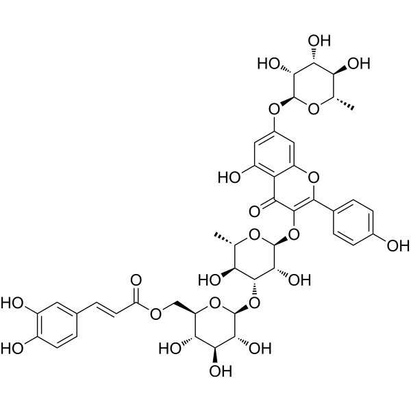 Kaempferol 3-O-(6-O-(E)-caffeoyl-β-D-glucopyranosyl-(1→3)-α-L-rhamnopyranoside) 7-O-α-L-rhamnopyrano...
