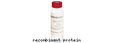 Miraculin, Recombinant Protein 