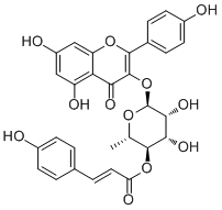 Kaempferol 3-O-(4''-O-trans-p-coumaroyl)rhamnopyranoside