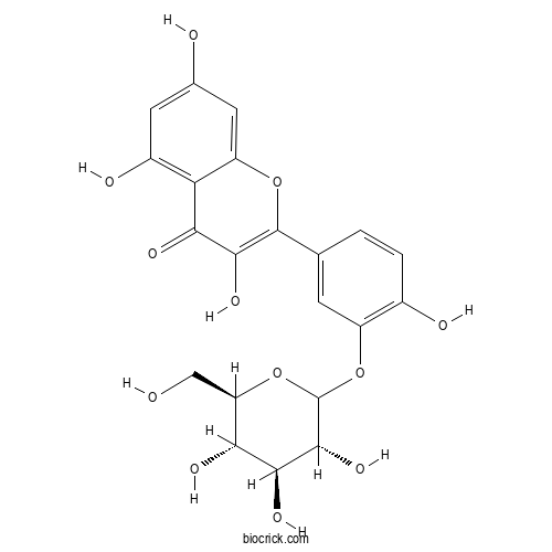 槲皮素-3'-葡萄糖苷