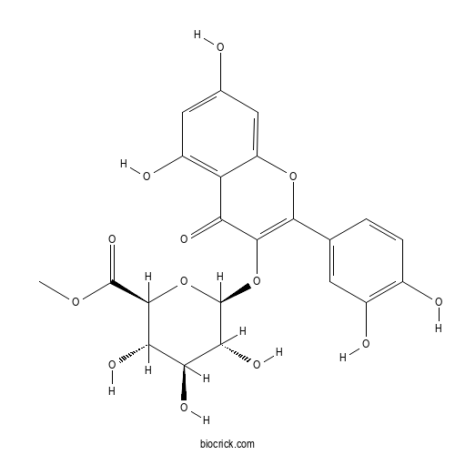 Quercetin 3-O-β-D-Glucuronide 6''-Methyl Ester