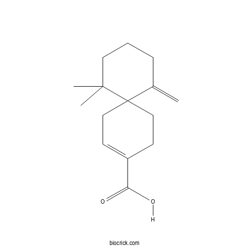 β-Chamigrenic acid