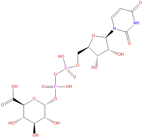 Trisodium UDP-glucuronic acid