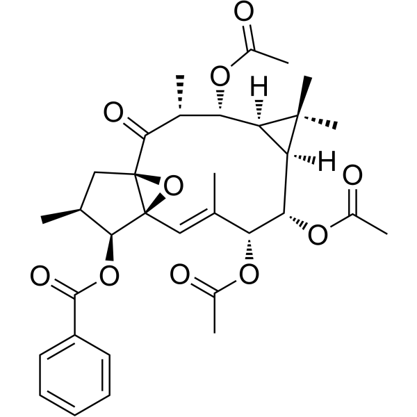 Ingol-7,8,12-triacetate-3-phenylacetate