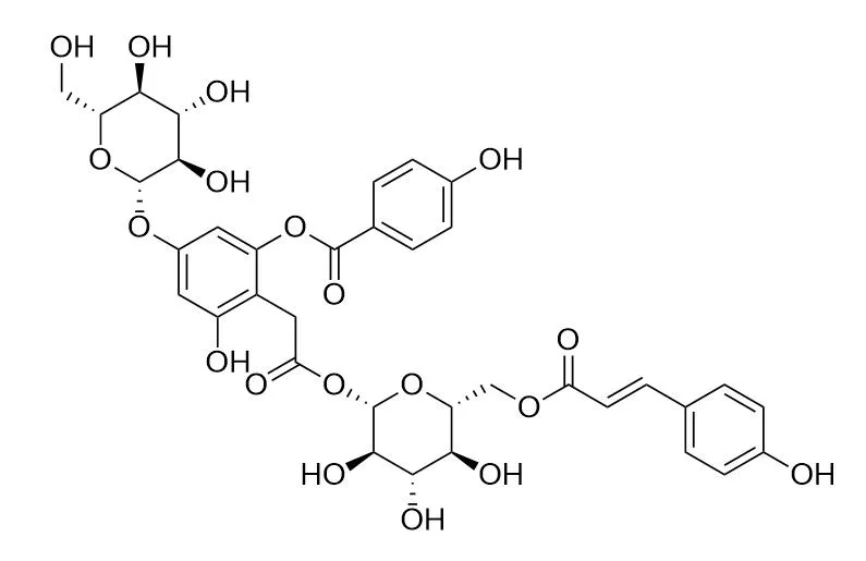 (6-O-p-coumaroyl)-beta-glucopyranosyl-2-O-(4-hydroxybenzoyl)-4-O-beta-glucopyranosyl-6-hydroxyphenylacetate