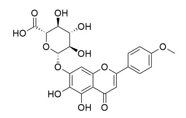 Clerodendroside (Scutellarein 4'-methyl ether 7-glucuronide)