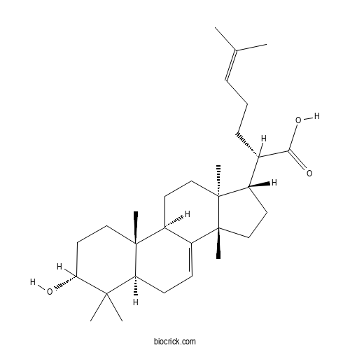 3alpha-Hydroxytirucalla-7,24-dien-21-oic acid