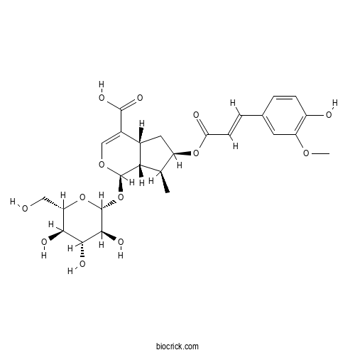  7-Feruloylloganic acid