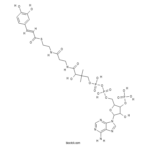 Caffeoyl CoA 2D chemical structure
