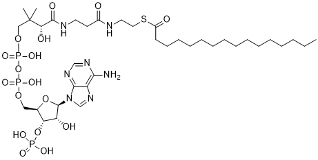 Palmitoyl CoA 2D chemical structure