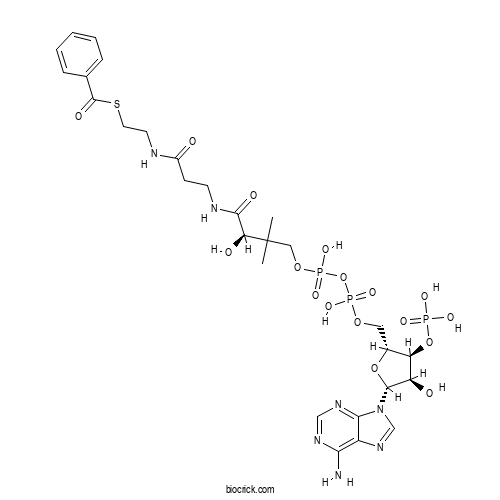 Benzoyl CoA 2D chemical structure