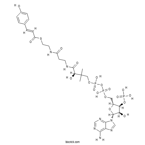 p-Coumaroyl CoA 2D chemical structure