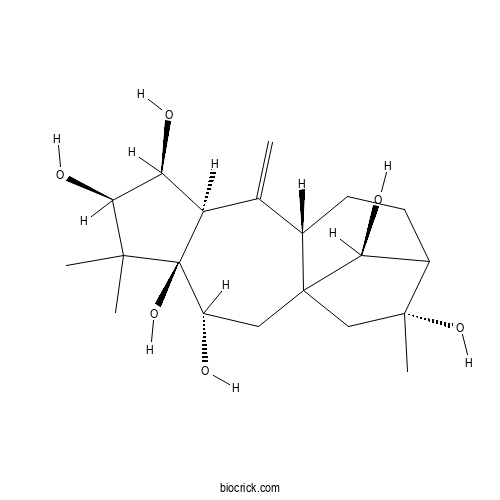 Rhodomollein I 2D chemical structure
