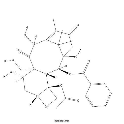  19-Hydroxy-10-deacetylbaccatin III